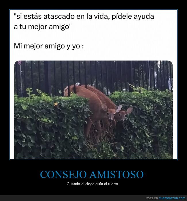amistad,caos,ayuda,fracaso,desastre