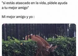 Enlace a Mi colega está en las mismas