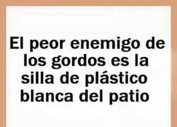Enlace a Esa silla sabe demasiado
