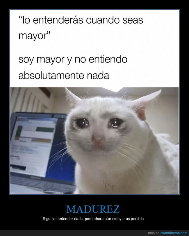 envejecimiento,confusi&oacute;n,nostalgia,gato,incomprensi&oacute;n
