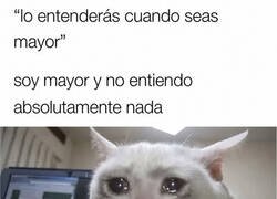 Enlace a Mayor, confuso y perdido