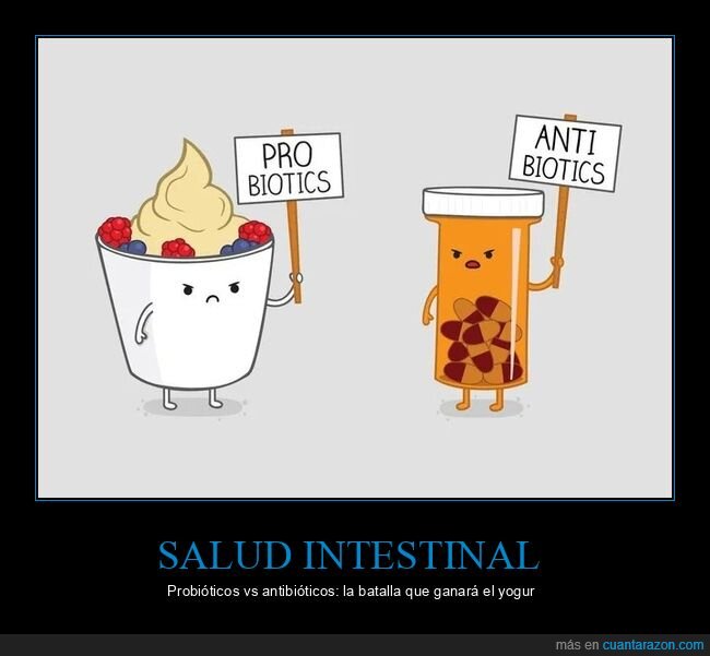 probi&oacute;ticos,antibi&oacute;ticos,salud,digesti&oacute;n,farmacia