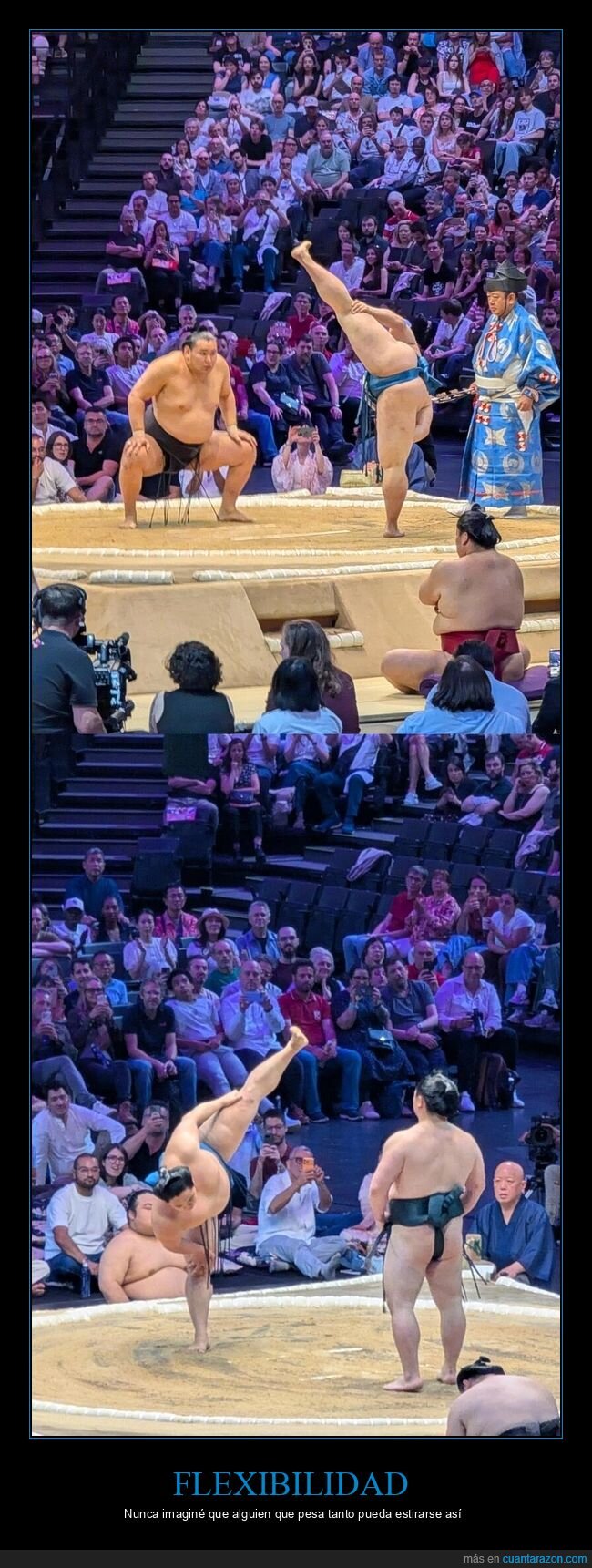 sumo,flexibilidad,absurdo,entreno,contorsionismo