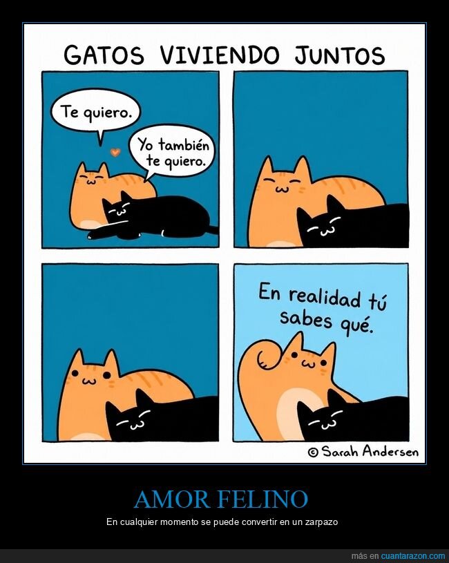 gatos,convivencia,relaciones,realidad,felinos