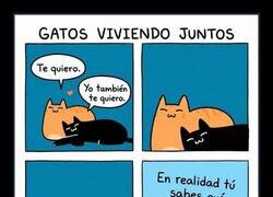Enlace a Del amor al odio en un segundo