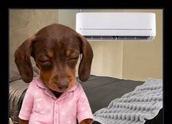 Enlace a Cuidado con los muebles