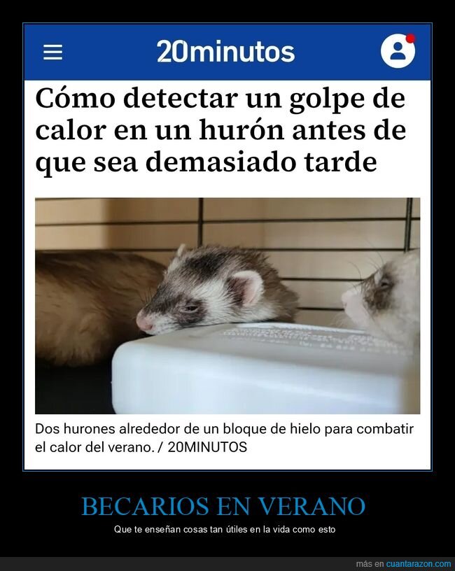 becarios,aprendizaje,verano,calor,improvisation