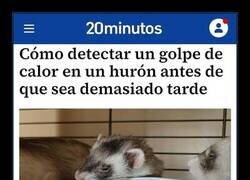 Enlace a 20 minutos en verano es una cosa...