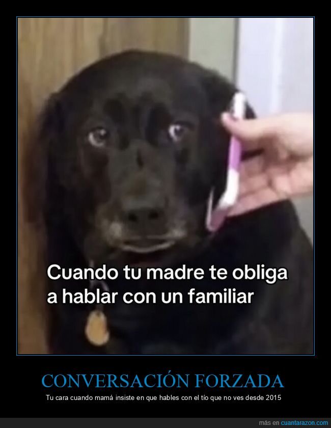 familia,conversaci&oacute;n,obligaci&oacute;n,inc&oacute;modo,perro