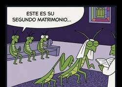 Enlace a No lo veo claro