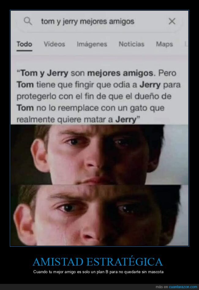 amistad,Tom y Jerry,rivalidad,lealtad,mascota