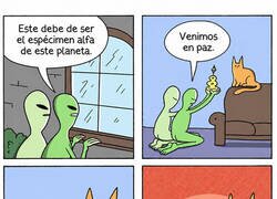 Enlace a Los extraterrestres no contaban con el arma definitiva