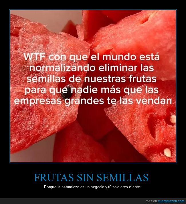 Semillas,Frutas,Consumismo,Naturaleza,Corporaciones