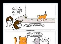 Enlace a El acoso es real