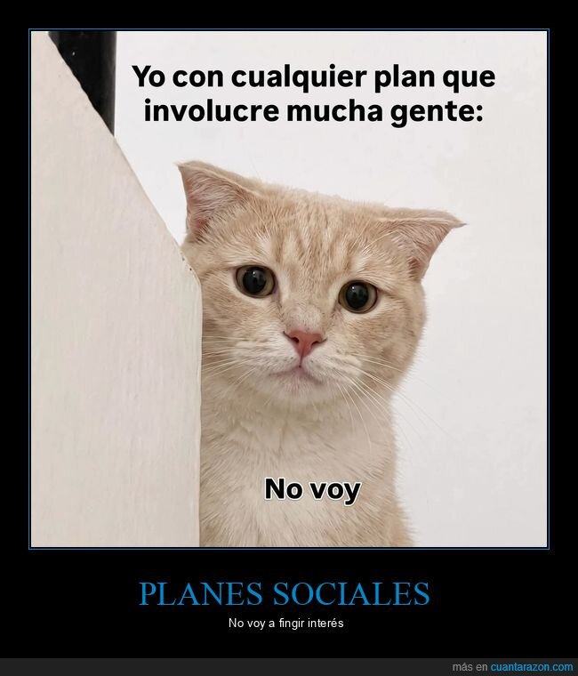 planes,gente,introvertido,rechazo,gato