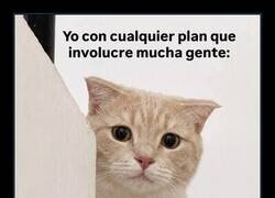 Enlace a Estoy en una época de mi vida que digo 