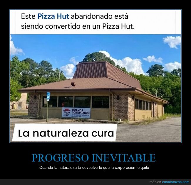 abandono,ruinas,corporativo,naturaleza,decadencia