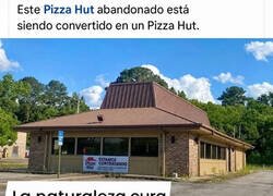 Enlace a Pizza Hut se reinventa en modo fantasma