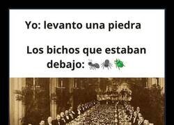 Enlace a Ecosistema más organizado que mi vida