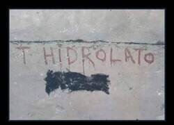 Enlace a Hidrolatra de barrio