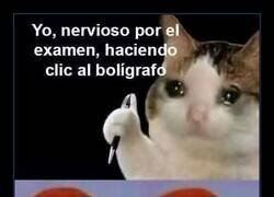 Enlace a Lo estás poniendo en tensión