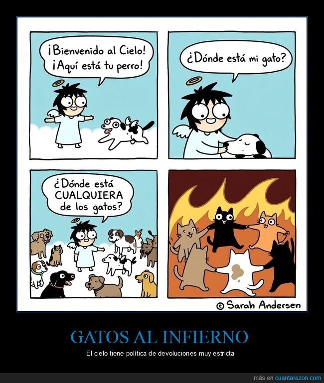 mascotas,gatos,caos,infierno,responsabilidad