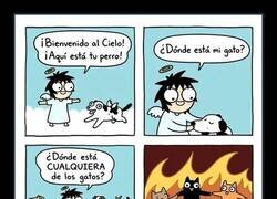 Enlace a Tu gato lleva años en el infierno