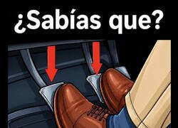Enlace a Está bien, pero yo no lo probaría