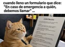 Enlace a Mi familia en emergencias