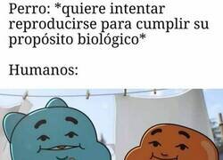 Enlace a La naturaleza nunca pidió su permiso