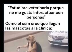 Enlace a Aún es peor