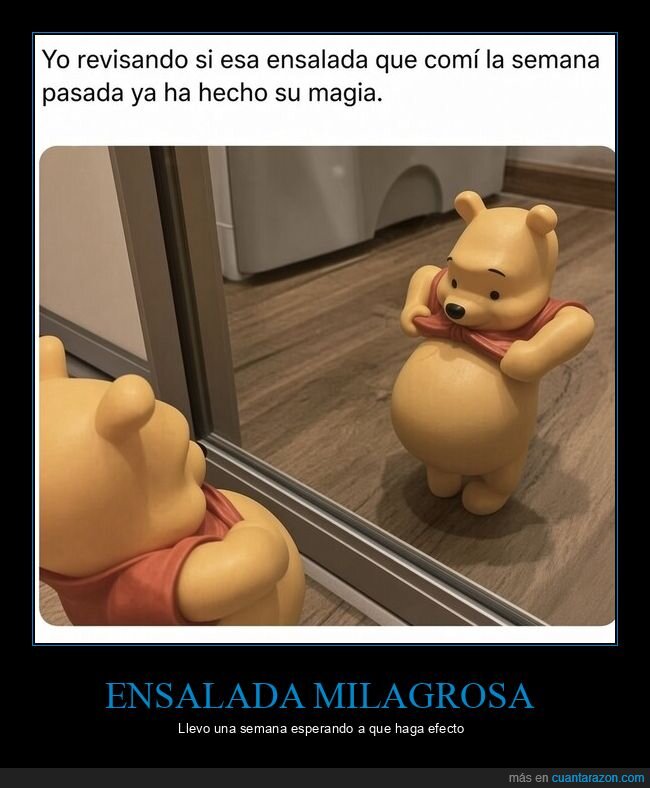 espejo,autoenga&ntilde;o,dieta,realidad,decepci&oacute;n