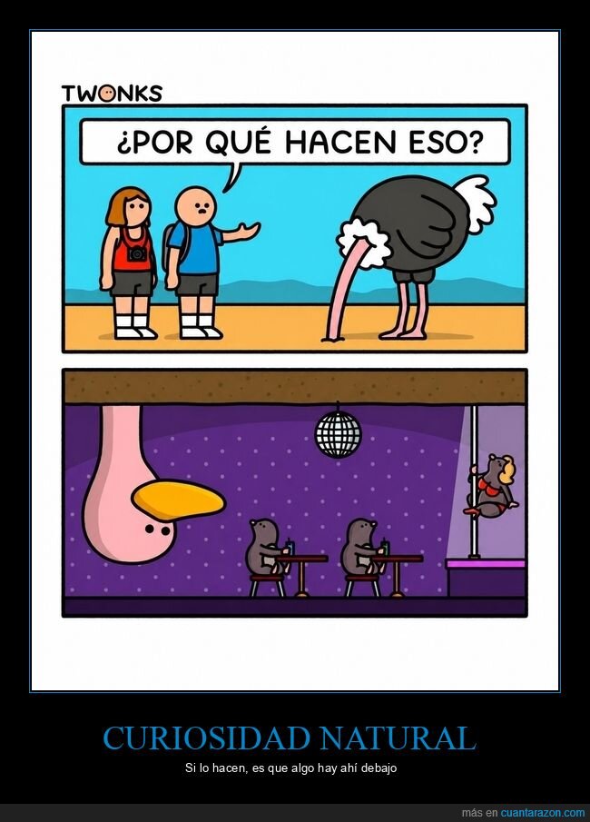 naturaleza,comportamiento,evoluci&oacute;n,supervivencia,absurdo