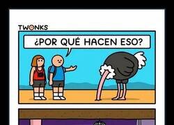 Enlace a Son cotillas por naturaleza