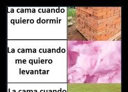 Enlace a La cama sabe cómo joderte en cada momento