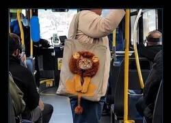 Enlace a Bolso de gato desafiante