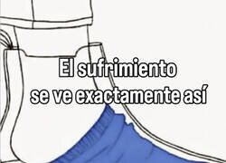 Enlace a Para lucir hay que sufrir
