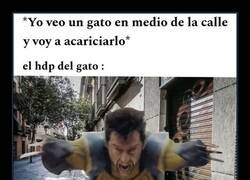 Enlace a Por muy mono que parezca...