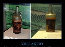 Enlace a El vino romano de Speyer es el vino más antiguo del mundo que aún se conserva en estado líquido