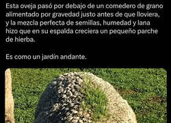Enlace a Un 
