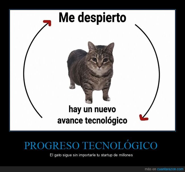 gato,tecnolog&iacute;a,progreso,indiferencia,ciclo