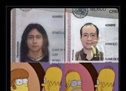 Enlace a Todos los que llevan melena de rock se quedan calvos
