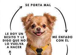 Enlace a Somos todos ese perro