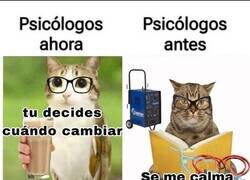 Enlace a Ojalá mi terapeuta fuese un gato con gafas