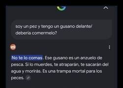 Enlace a Qué peligroso es que los peces usen IA