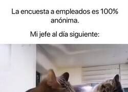 Enlace a El jefe cazando al chivato