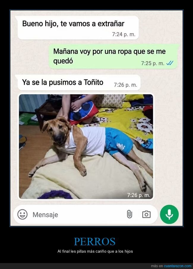 perro,familia,moda,WhatsApp,mascotas