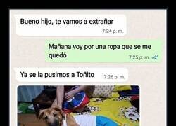 Enlace a No preguntes por qué