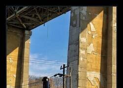 Enlace a El progreso tiene sus matices