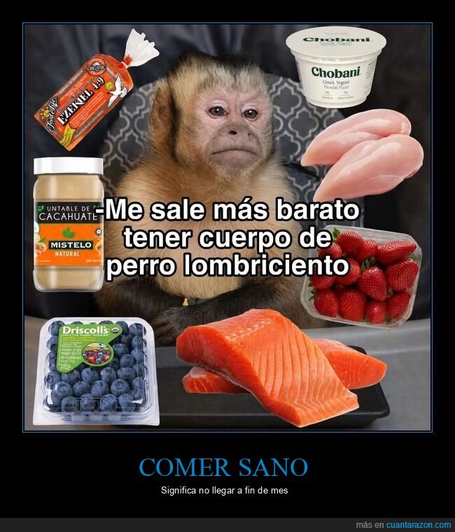 dieta,fracaso,presupuesto,nutrici&oacute;n,realidad